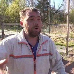 , 28, 