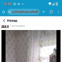 ���� ������� ��������, ������, 61 ��� - ��������� 8 ���� 2025 � ������ ���� ����������