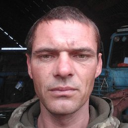 ����������, ������, 37 ���