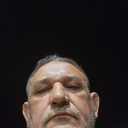 , 61, 