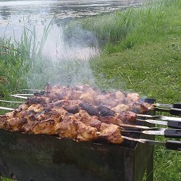 ������, �������, 72 ����