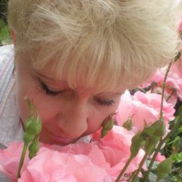 ������, �����