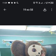 ����, 56 ���, ����