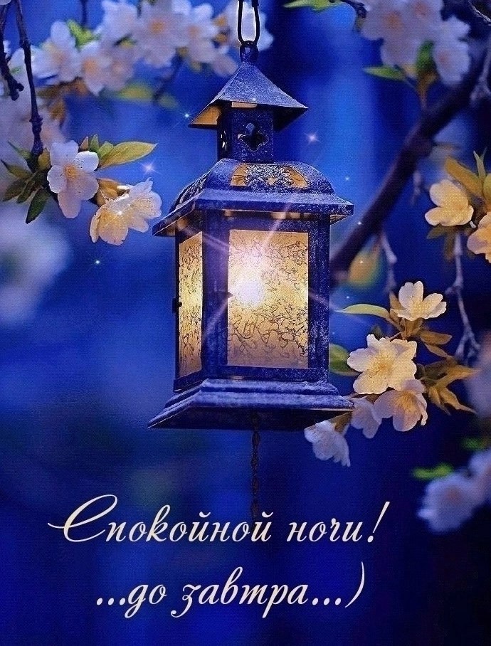   ,    . - 23  2025  21:09