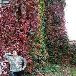 ������, ������ ��������, 58 ���