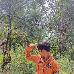 Pawan, ����, 19 ���