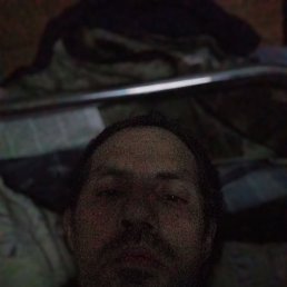 , 41, 