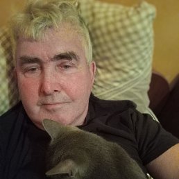 , 67 , 