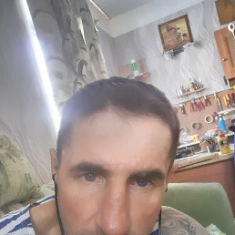 ���� ���, ������, 43 ���� - ��������� 18 ����� 2024