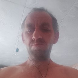 ����, 42 ����, �������