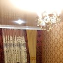 ���� ������, ������, 46 ��� - ��������� 31 ������ 2024 � ������ ���� ����������