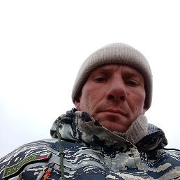 ��������, ������, 41 ���