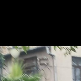 ������, �������, 52 ����