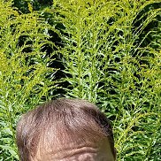 , 40 , 