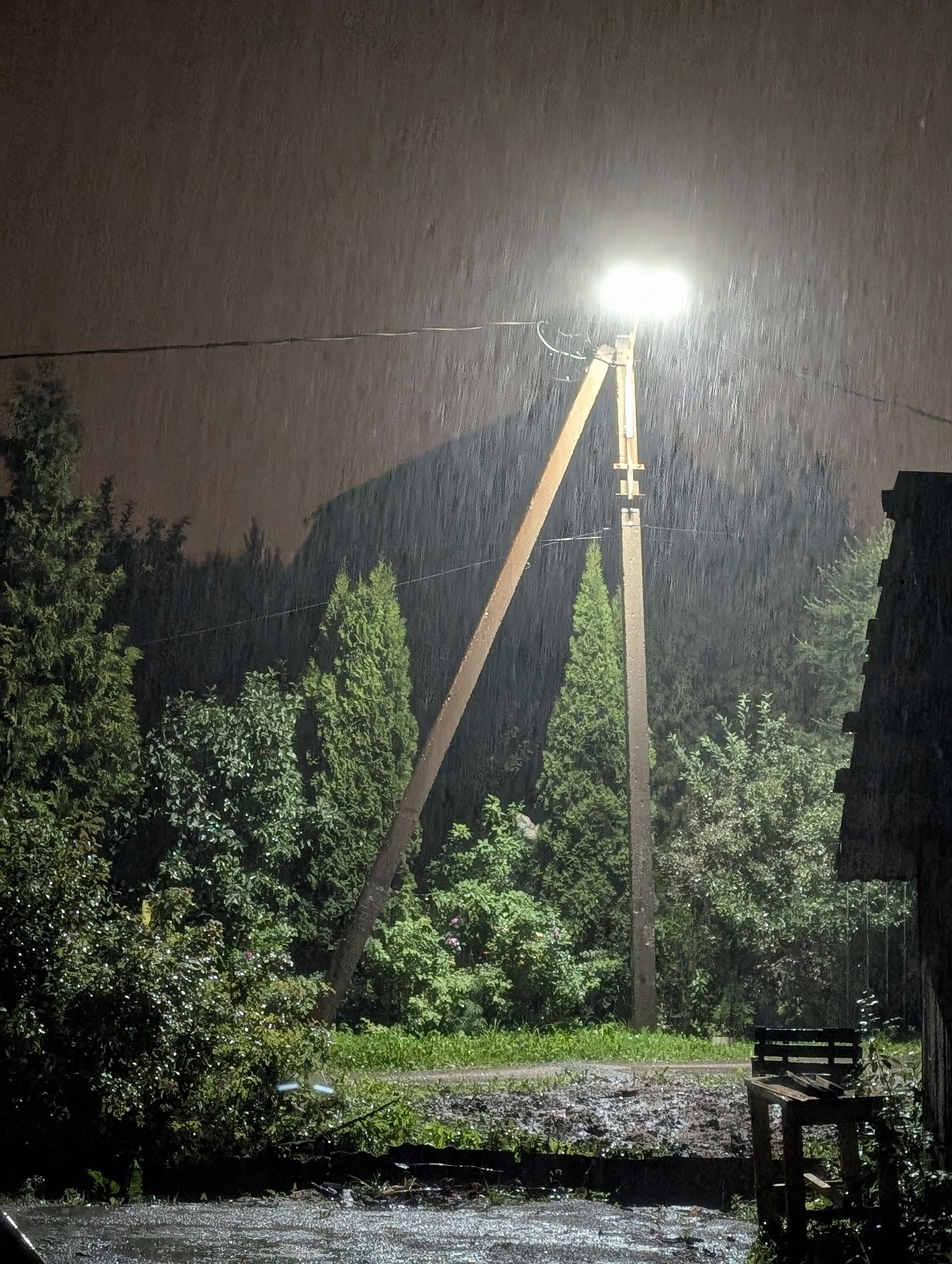  - 30  2025  02:48 - 3