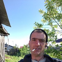 , 37, 
