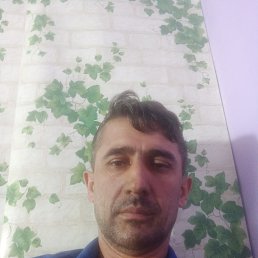 ���� ����, ������, 34 ���� - ��������� 25 �������� 2024