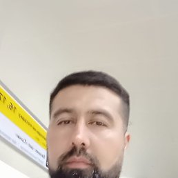 , 33, 