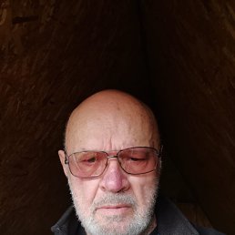 ����, 37 ���, ������