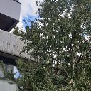  , , 53  -  31  2025