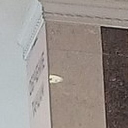 ������, ������, 58 ���