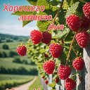 ���� Nadya, ������, 55 ��� - ��������� 1 ���� 2026 � ������ ���� ����������