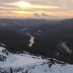 ���� �����, ����������, 43 ���� - ��������� 14 ������� 2025