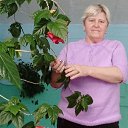 ���� ���������, ������, 60 ��� - ��������� 28 ������� 2025 � ������ ���� ����������