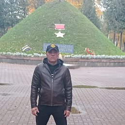 , 41, 