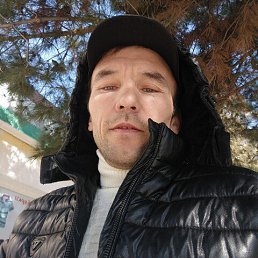 , 33, 