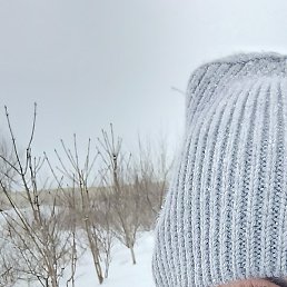 ����, ���������, 38 ���