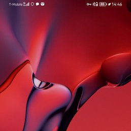 ���� �����, ���������, 45 ��� - ��������� 9 ������ 2026