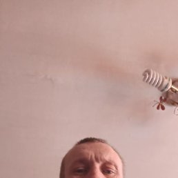 ������� ���������, ������, 40 ���