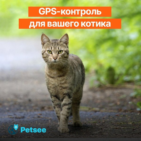 � � ���� ��� ������ ��� �� ���� � ������� ����� ������ �����? ����� � ������ ������, ����� ����� �� ...