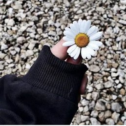 ���� ��������, ������ ��������, 44 ���� - ��������� 1 ������ 2026