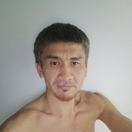 , 33, 