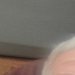 �������, ������, 62 ����