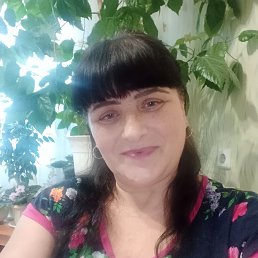 , 59, 