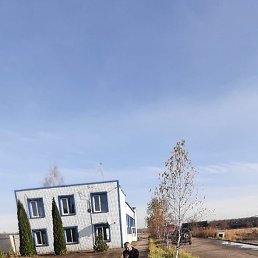 ���� ���������, ������, 41 ��� - ��������� 31 ������� 2023