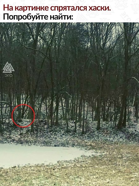 ������������ ��� ����� ������� �������� �� ��������. ������� � ���������