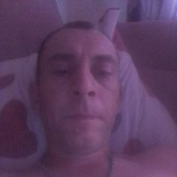 , 44, 