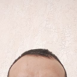 , 35, 