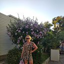 ���� ����, �������, 50 ��� - ��������� 15 ������� 2024 � ������ ���� ����������