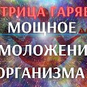 ���� ����, ������-��-����, 54 ���� - ��������� 28 ������� 2024