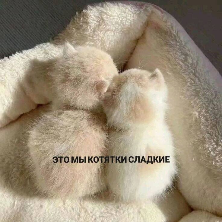   - 12  2025  11:32