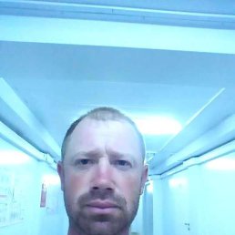 ����, 41 ���, ������