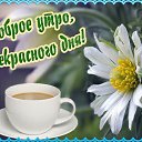 ���� ���������, ������, 54 ���� - ��������� 22 ������� 2025 � ������ ���� ����������