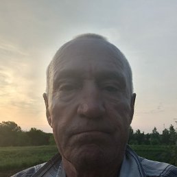 , 64, 