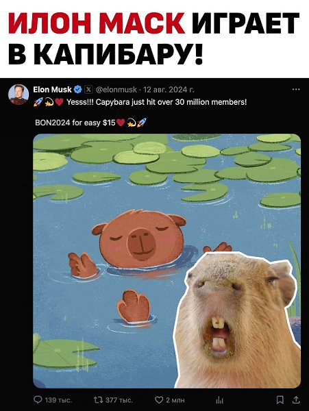 Илон Маск вложился в новый кликер... Обещает, что это будет новая волна в мире криптоигр, и раздаёт ...
