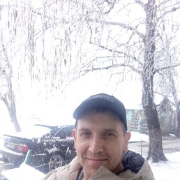 ���� ������, �����, 44 ���� - ��������� 1 ������ 2024